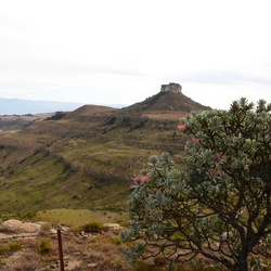 2015-05 South Africa/Drakensburg/DSC_0142.JPG